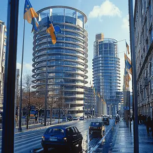 高中教资复习需要多久